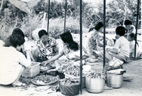 1970년대 공동작업
