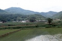 황룡면금호리마을전경