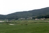 황룡면금호리마을전경