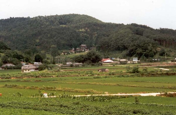 황룡면금호리마을전경