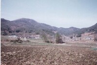 황룡면금호리마을전경