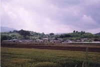 황룡면신호리마을전경