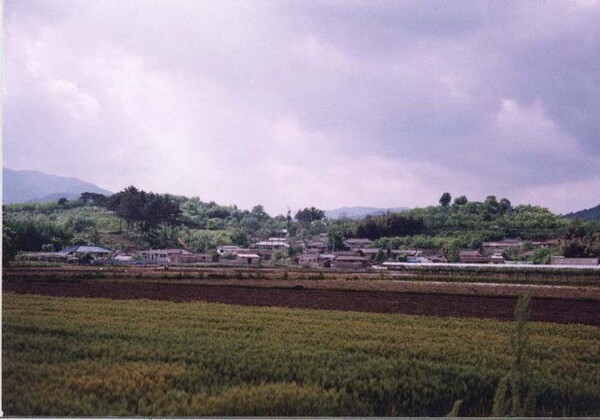 황룡면신호리마을전경
