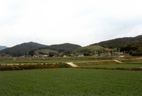 황룡면맥호리마을전경