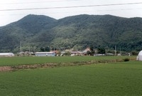 황룡면아곡리마을전경