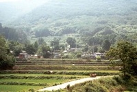 황룡면옥정리마을전경