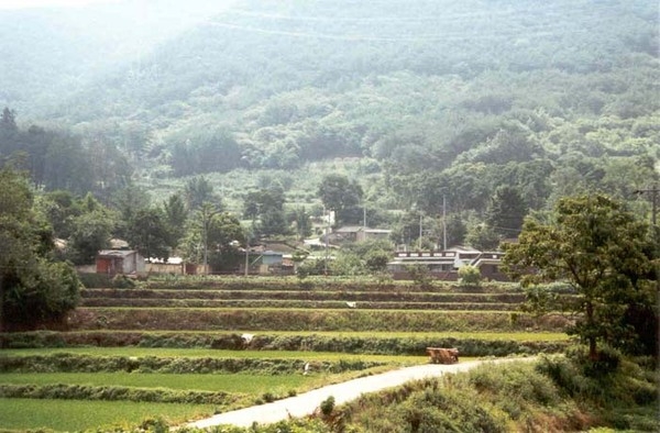 황룡면옥정리마을전경
