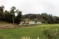 황룡면옥정리마을전경