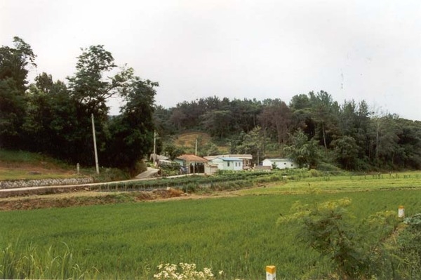 황룡면옥정리마을전경