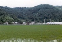 황룡면옥정리마을전경