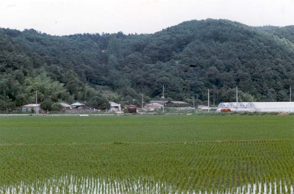 황룡면옥정리마을전경
