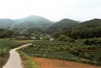 황룡면옥정리마을전경