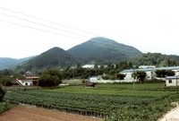 황룡면월평리마을전경