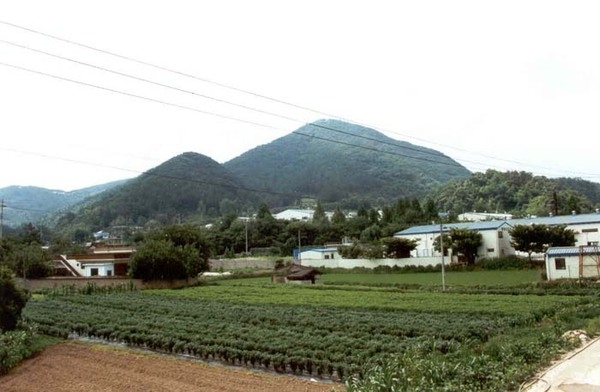 황룡면월평리마을전경