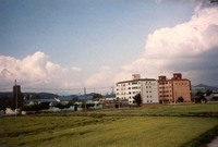 황룡면월평리마을전경
