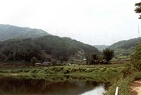 황룡면와룡마을전경