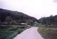 황룡면와룡마을전경