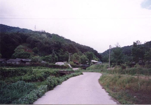 황룡면와룡마을전경