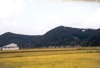 황룡면 필암 마을전경