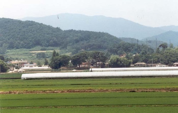 황룡면 필암 마을전경
