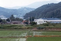 황룡면 필암 마을전경