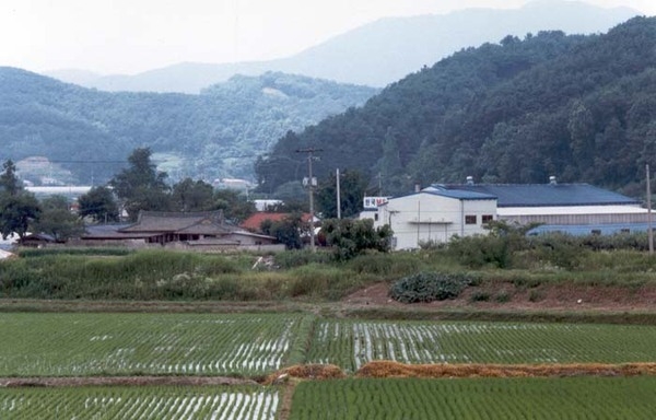 황룡면 필암 마을전경