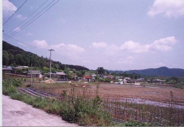 황룡면 장산리 마을전경