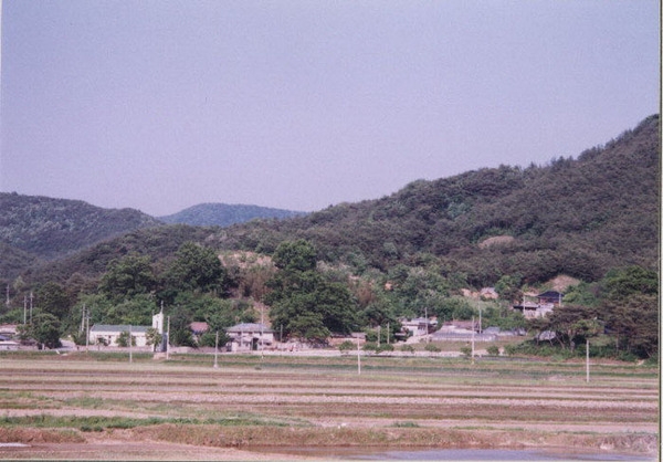 북이면 조양리 마을전경
