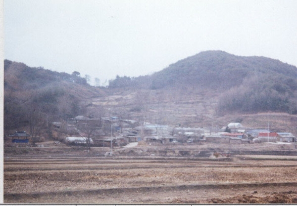 북이면 조양리 마을전경