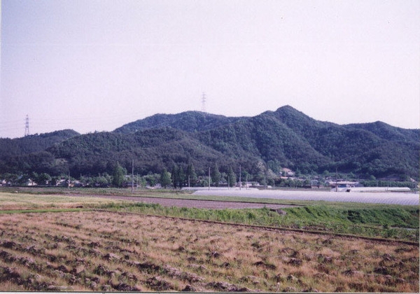 북이면 조양리 마을전경
