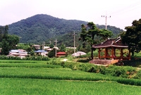 북이면 조양리 마을전경