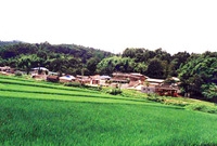 북이면 조양리 마을전경