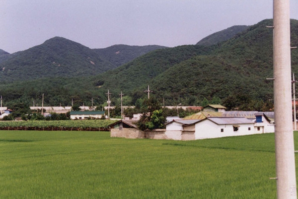 북이면 원덕리 마을전경