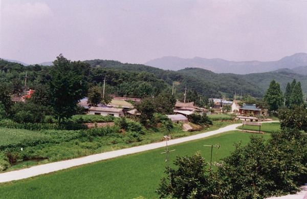 북이면 오월리 마을전경
