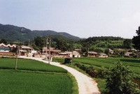 북이면 신평리 마을전경