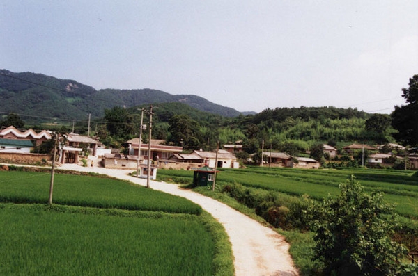 북이면 신평리 마을전경