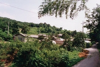 북이면 수성리 마을전경