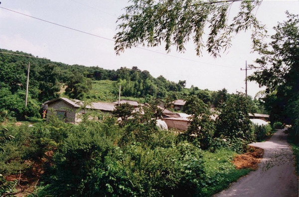 북이면 수성리 마을전경