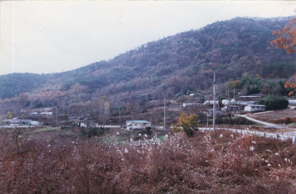 북이면 수성리 마을전경