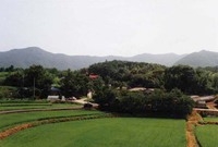 북이면 사거리 마을전경