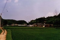 북이면 만무리 마을전경