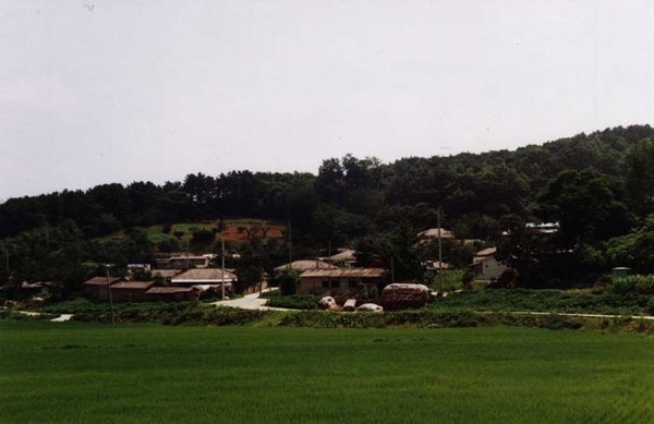 북이면 달성리 마을전경