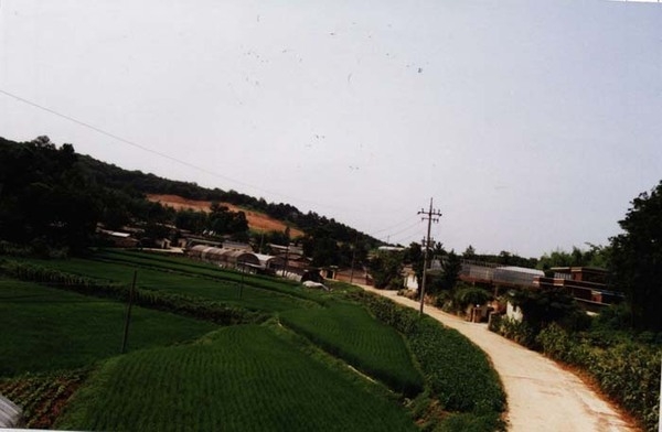 북이면 달성리 마을전경