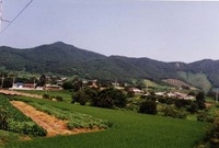 북이면 달성리 마을전경