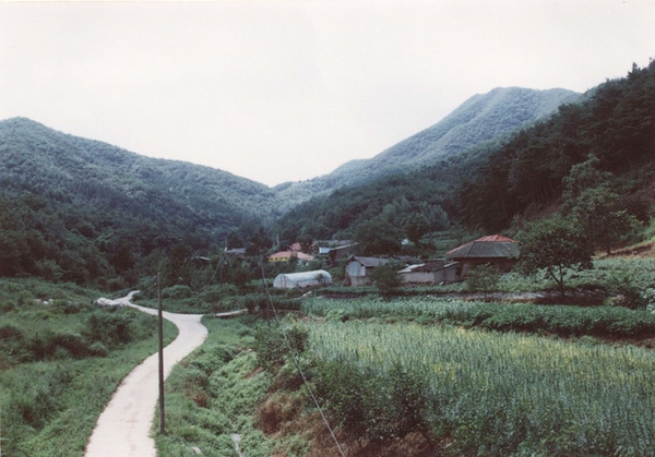 북일면 문암리 마을전경