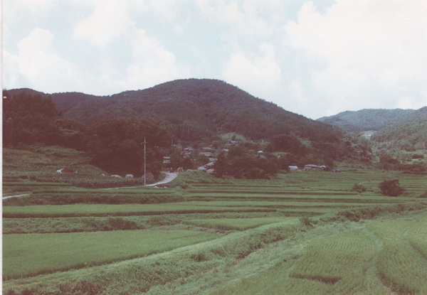 북일면 문암리 마을전경
