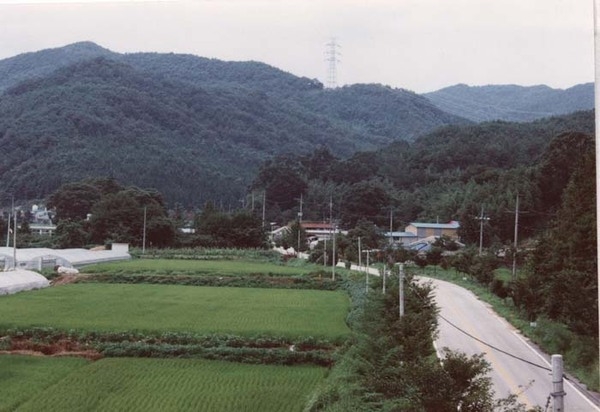 북일면 문암리 마을전경