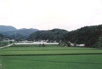 북일면 성덕리 마을전경