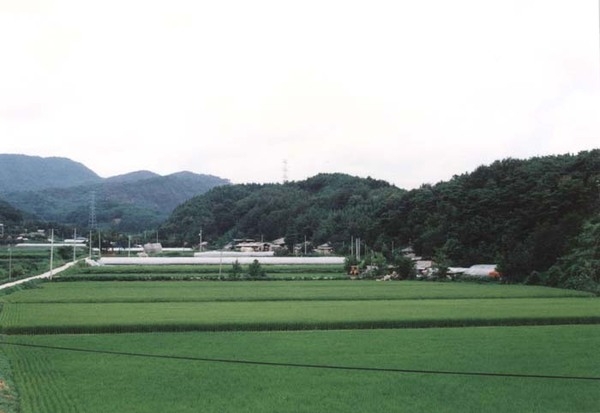 북일면 성덕리 마을전경