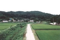 북일면 성덕리 마을전경